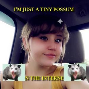 Meet your Posher, Sierra